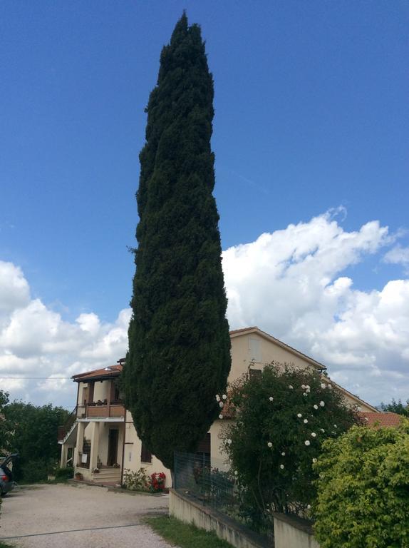 Borgo Buciardella Villa Baschi Buitenkant foto