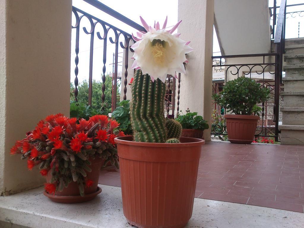 Borgo Buciardella Villa Baschi Buitenkant foto