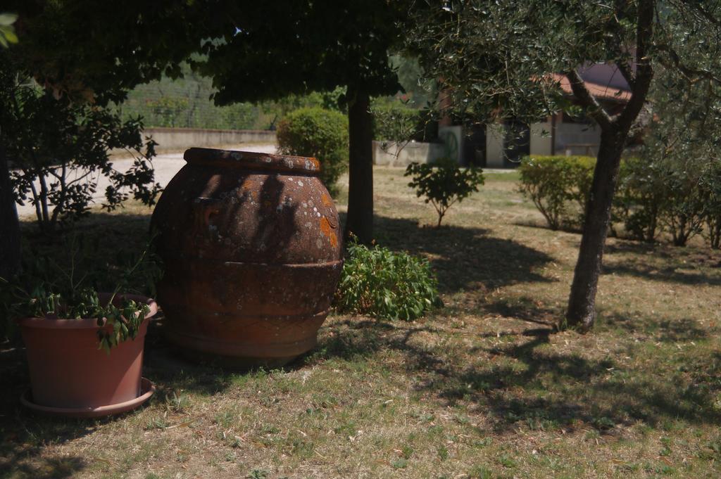 Borgo Buciardella Villa Baschi Buitenkant foto